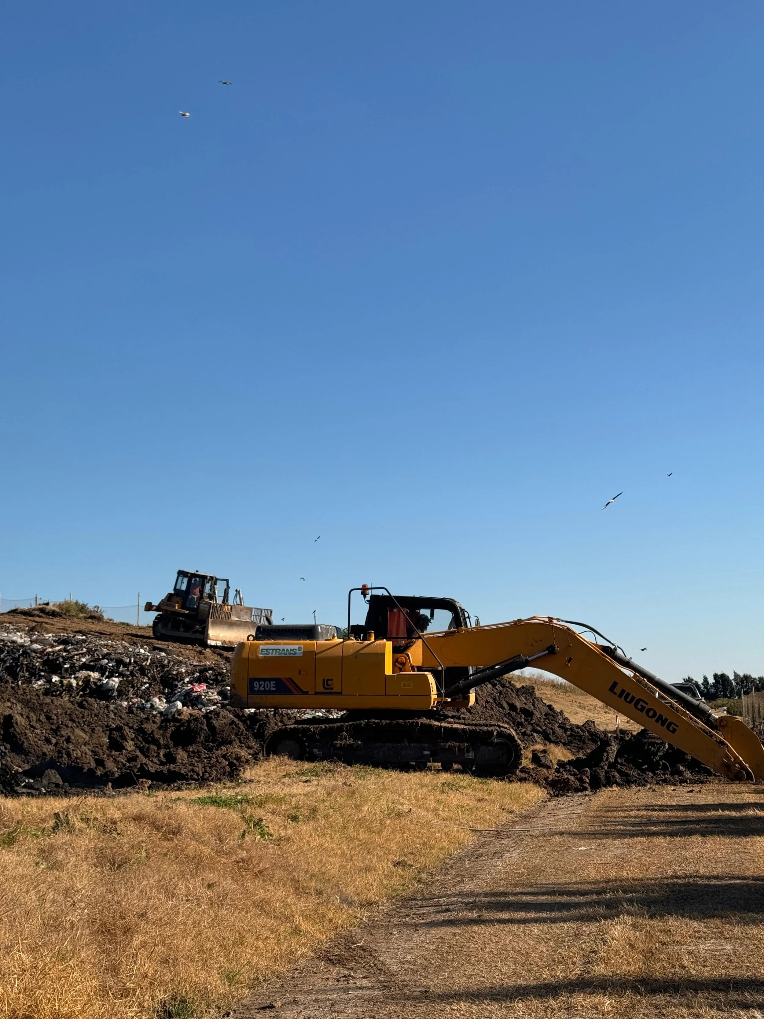 Excavadora amarilla trabajando en un terreno de tierra con cielo despejado y aves volando en el fondo.