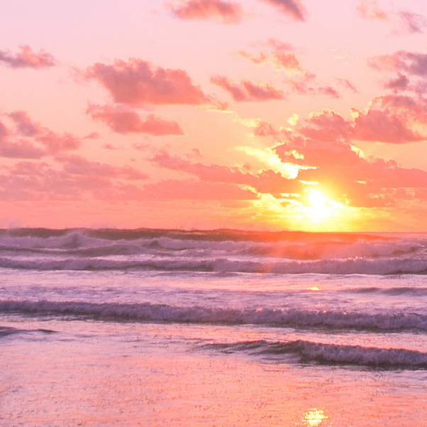 Sunset bookmark.png (Copy)