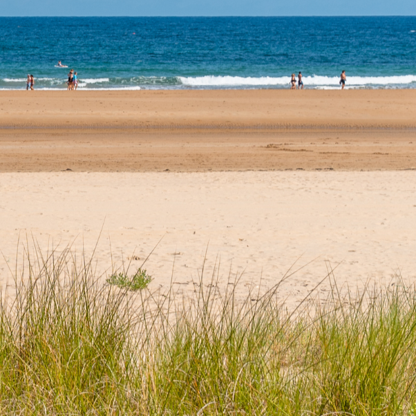 Beach bookmark.png (Copy)