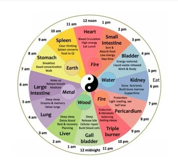 Traditional Chinese Medicine
