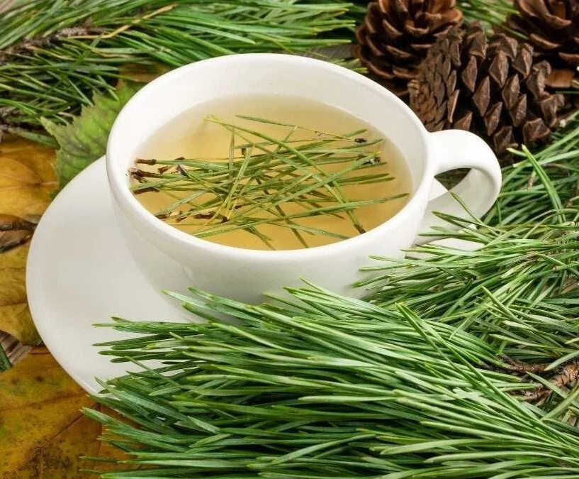HOW TO STRENGHTEN YOUR IMMUNE SYSTEM