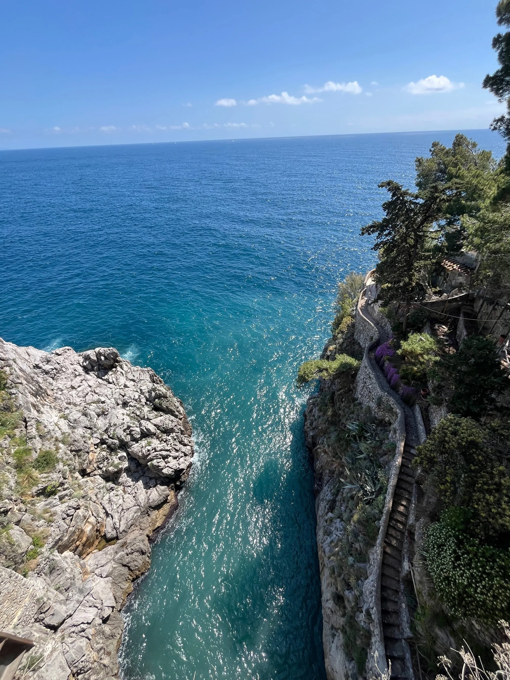 Terms and Conditions