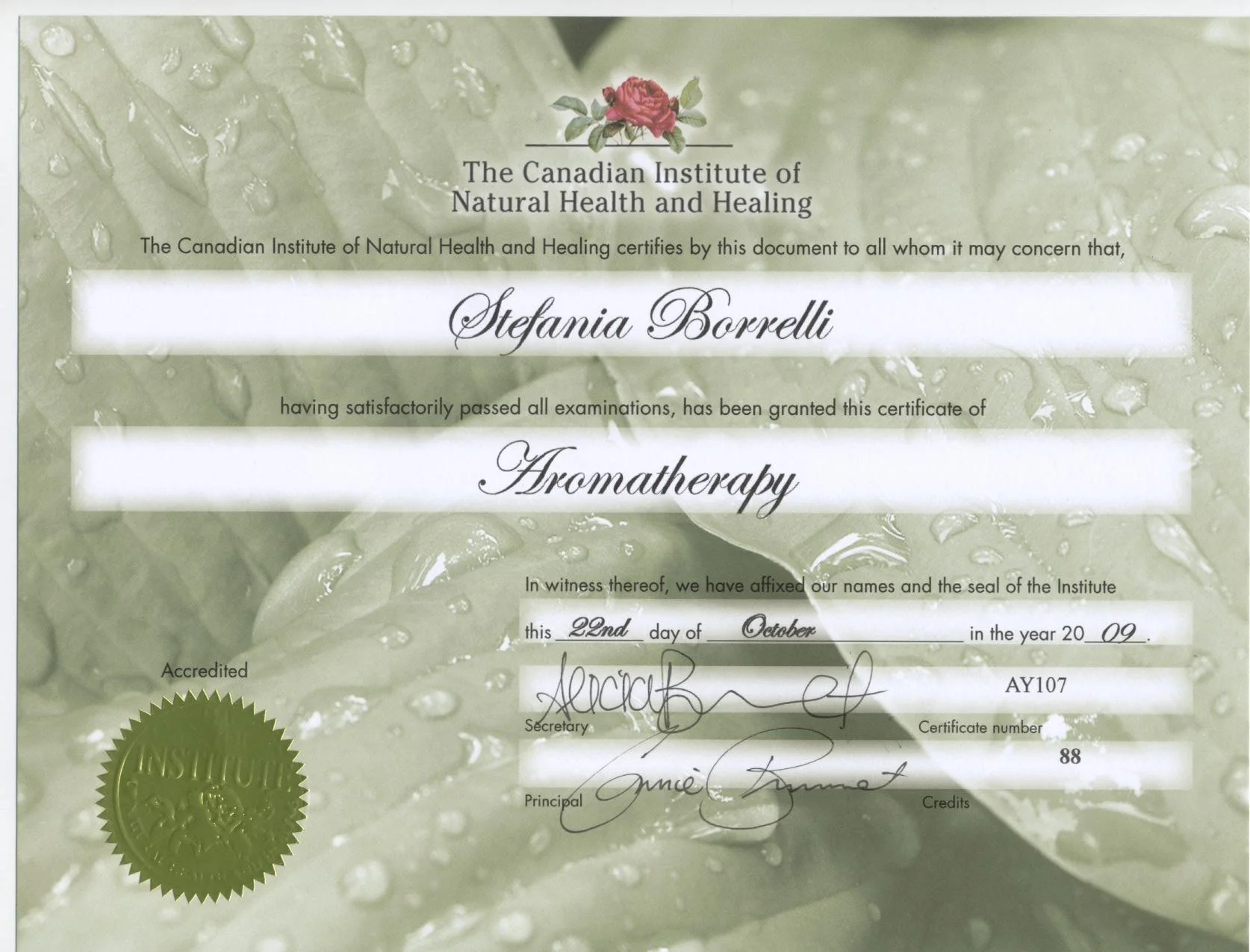 Certificate Aromatherapy.jpg