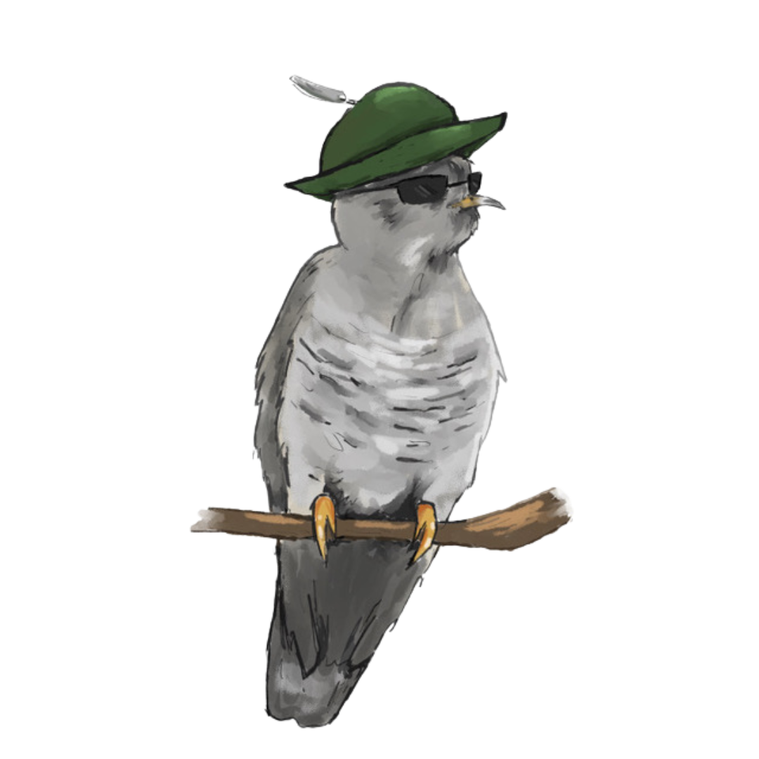 A bird wearing sunglasses, a green hat, and a feather, sitting on a branch.