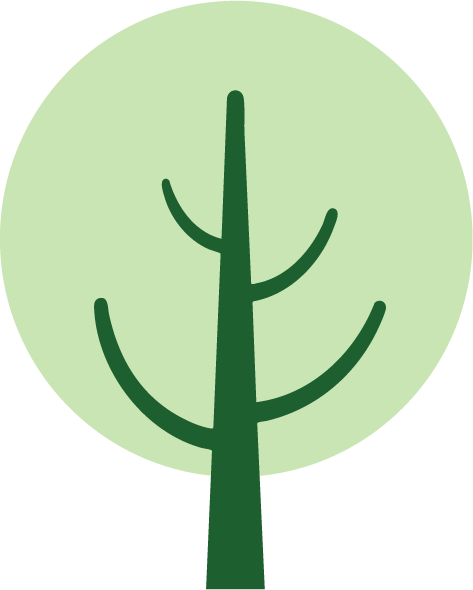 Illustration of a green tree with a darker green trunk and minimal branches against a light green circular background.