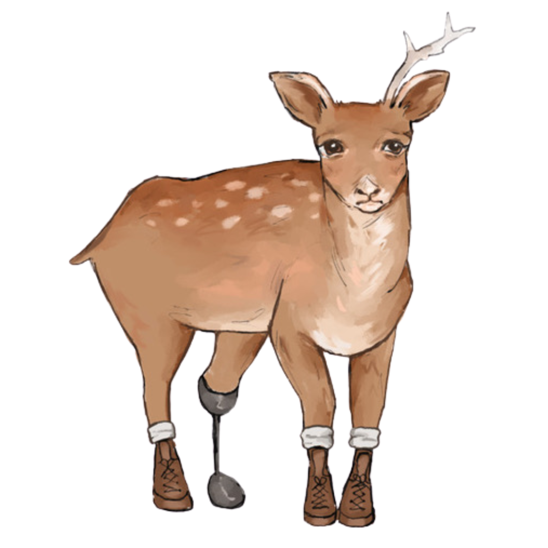 An illustrated young deer wearing sneakers and socks, with a smooth brown coat, white spots on its back, and small antlers.