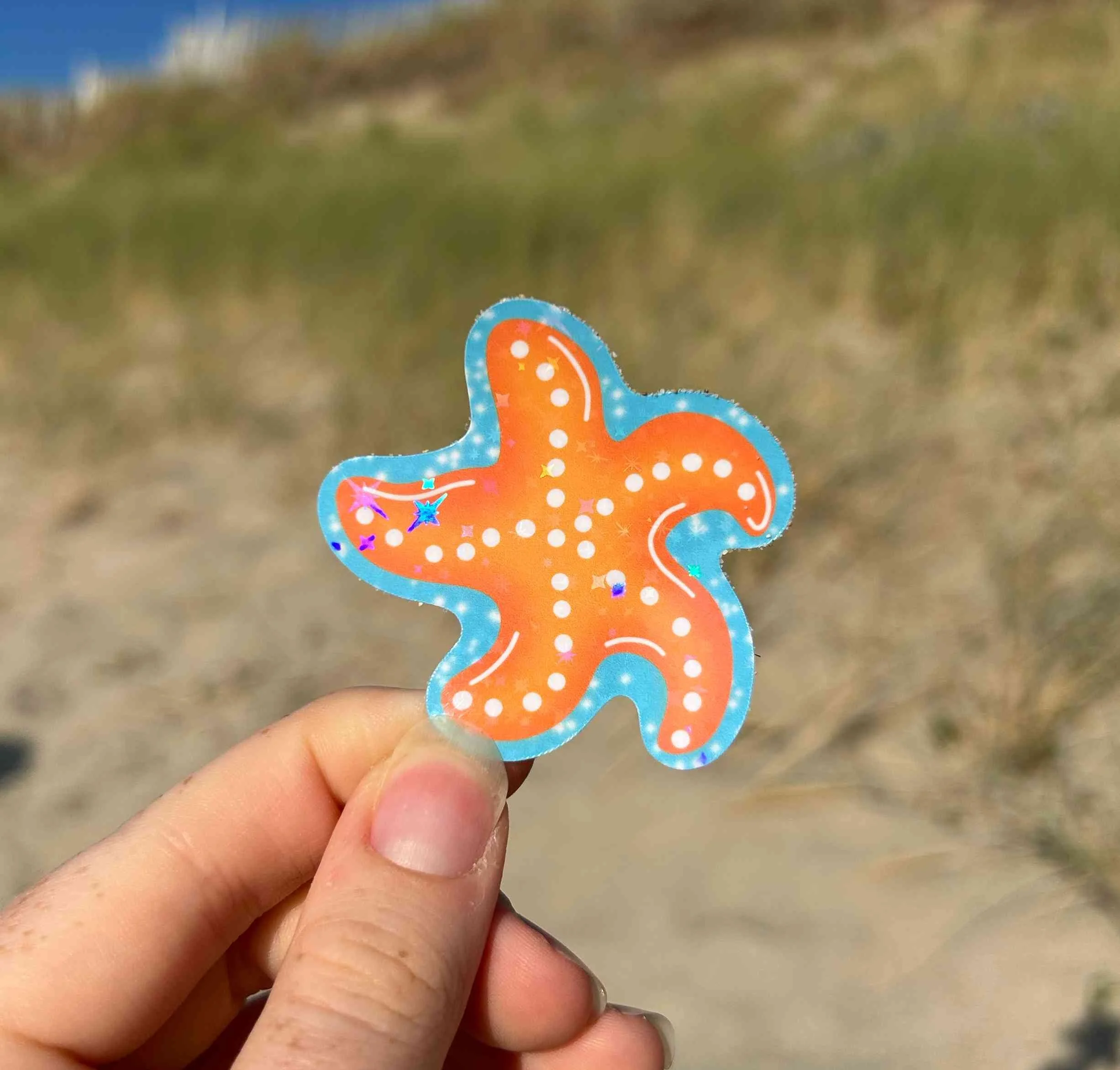 Sticker étoile de mer