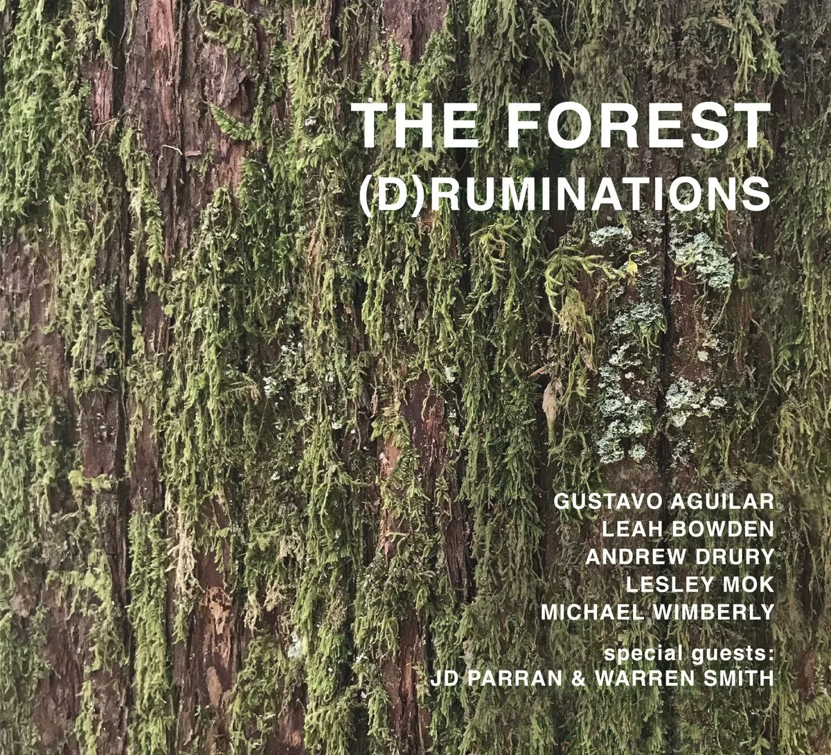 
 
 50025 (D)RUMINATIONS 
  The Forest 
   "astonishing" "monumental" "cinematic" 
 –Marc Medwin, NYC Jazz Record
 