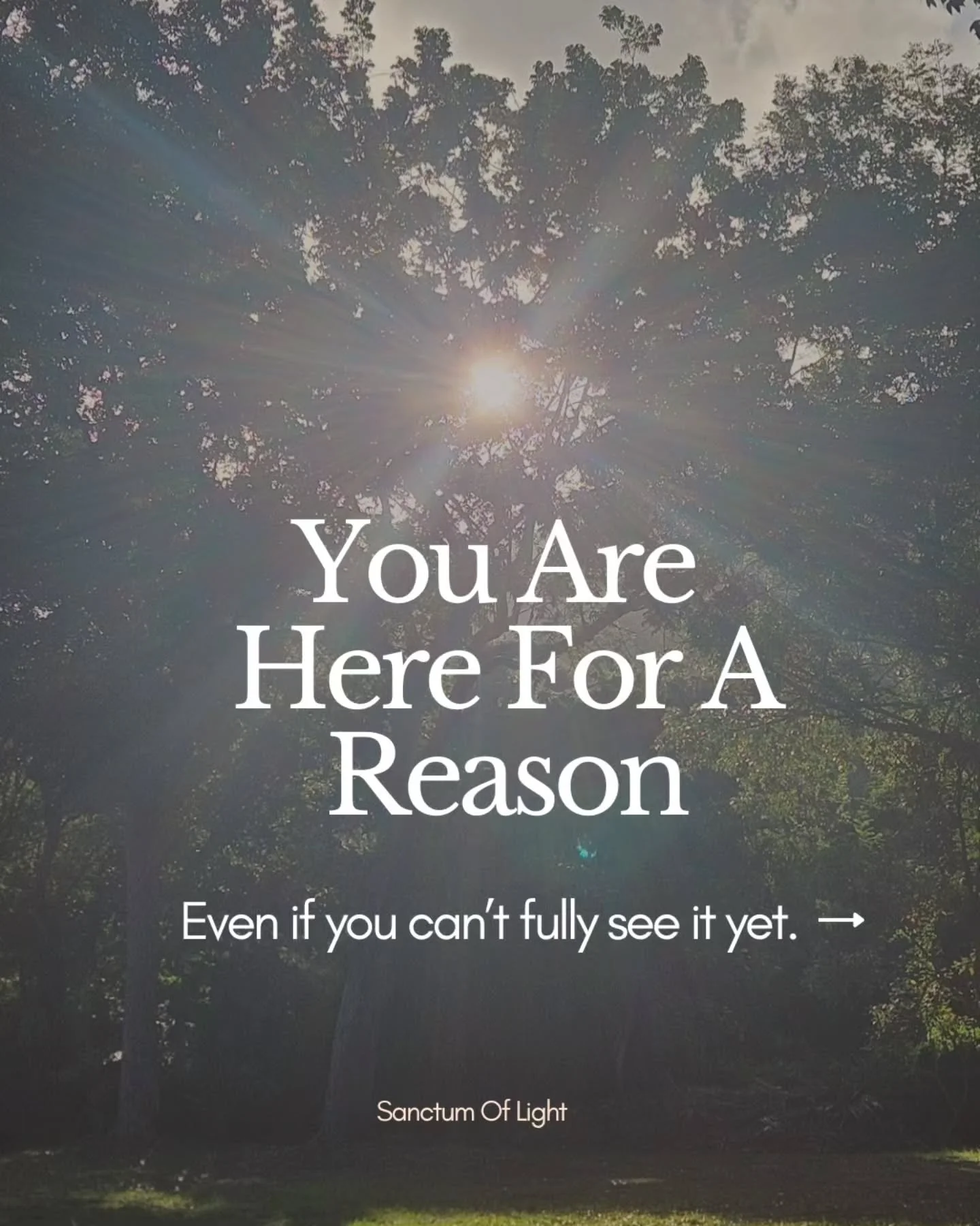 Some callings require courage.
Others require letting go.

Most require both.

If you felt this, share it with someone who needs encouragement walking their own path.✨️