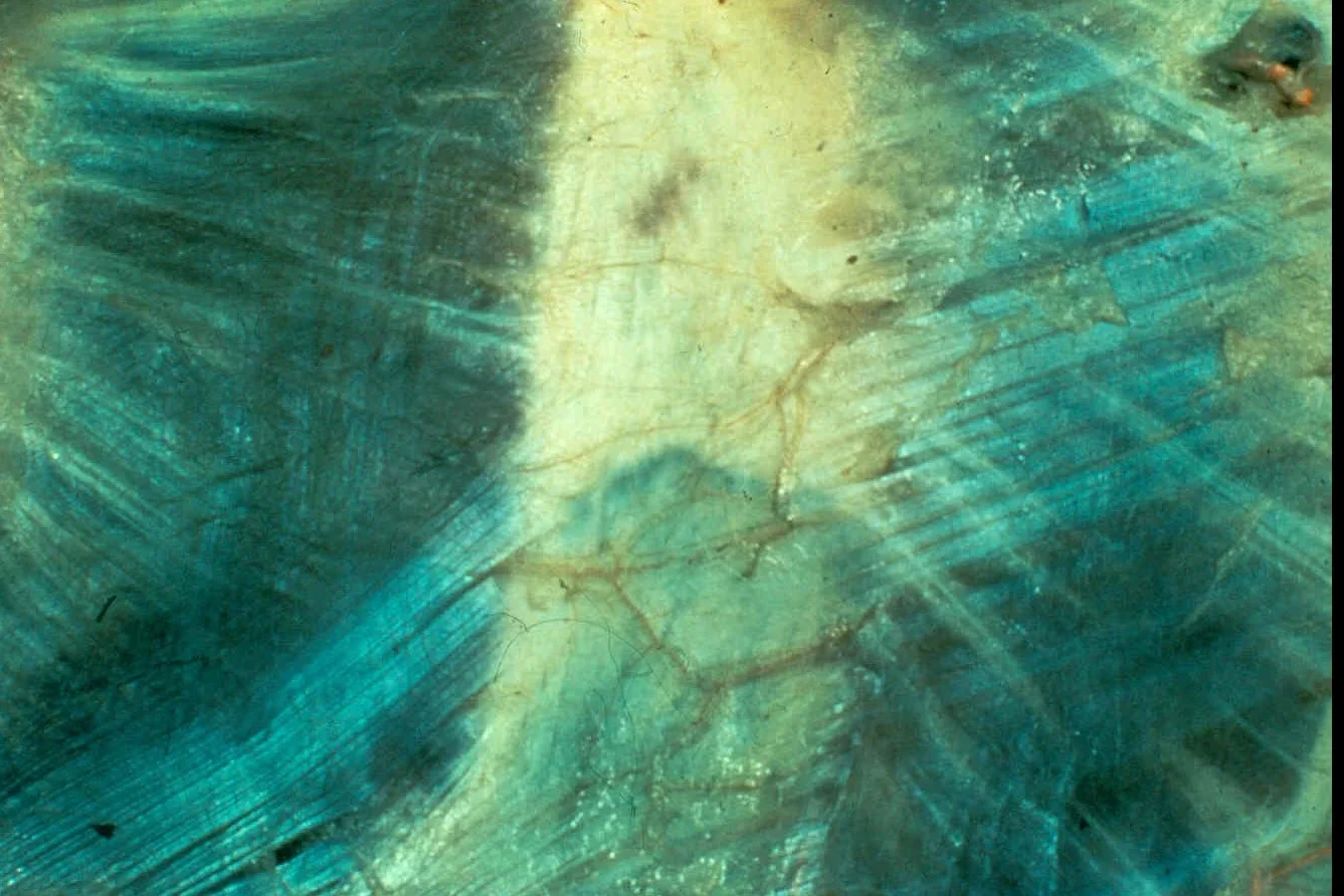 Cross Hatched Fascia Fibers