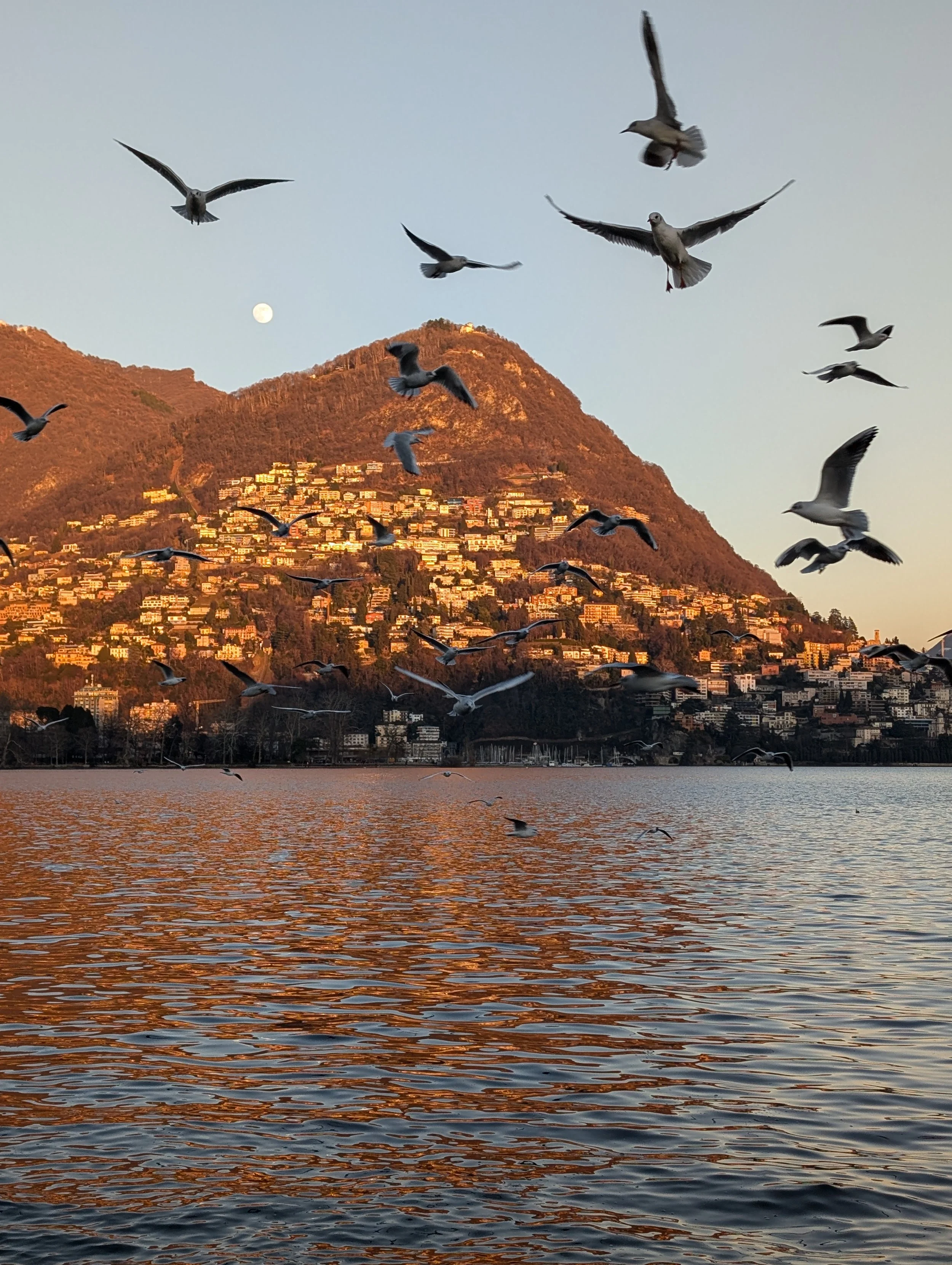 20250112 Lugano