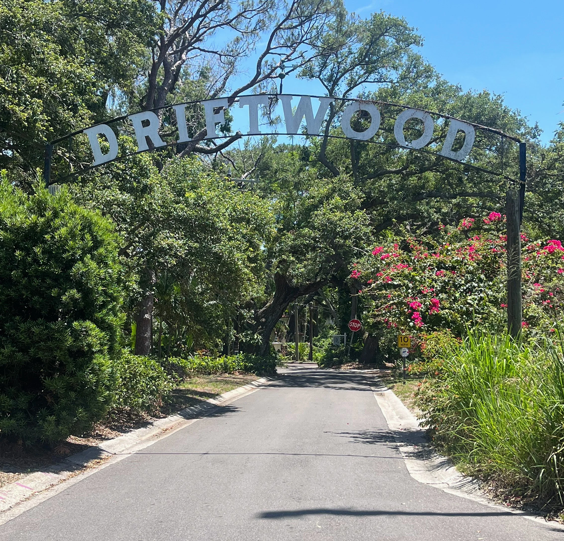 Driftwood Neighborhood in St Pete Florida