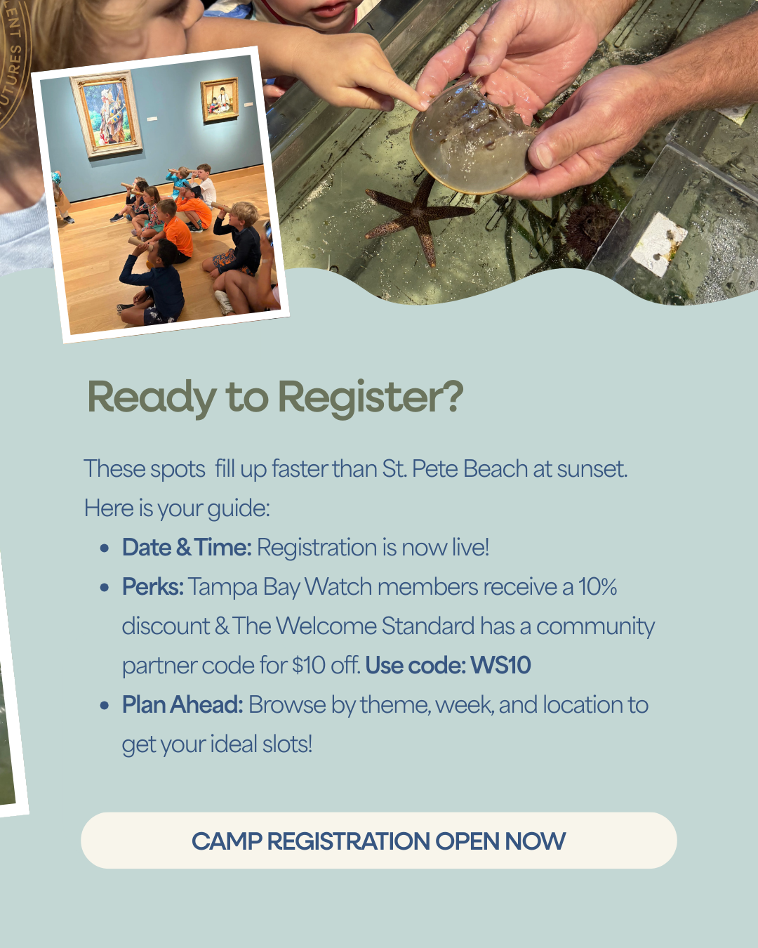 Tampa Bay Watch Summer Camp