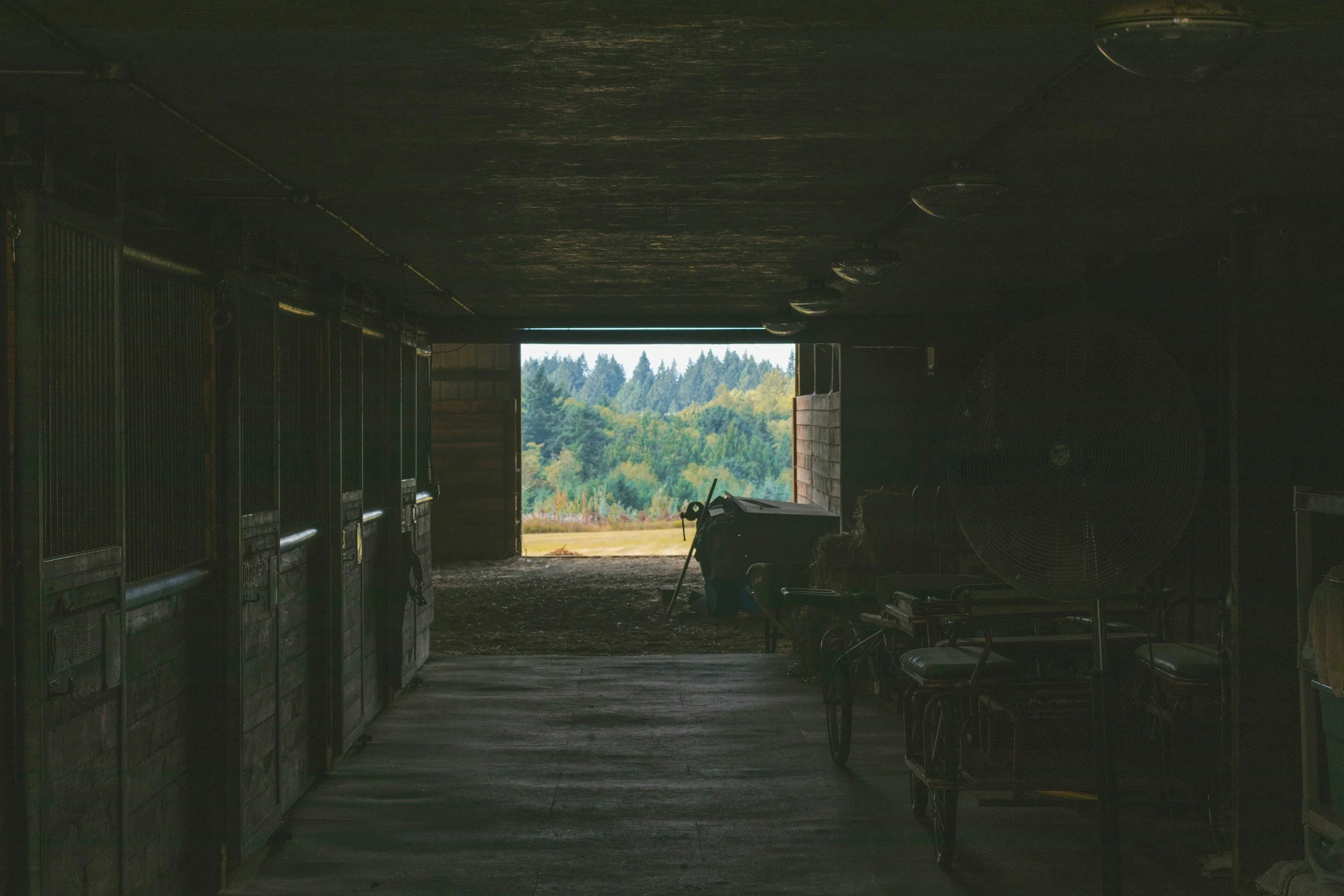 unsplash-image-EIMgTi64vv8.jpg