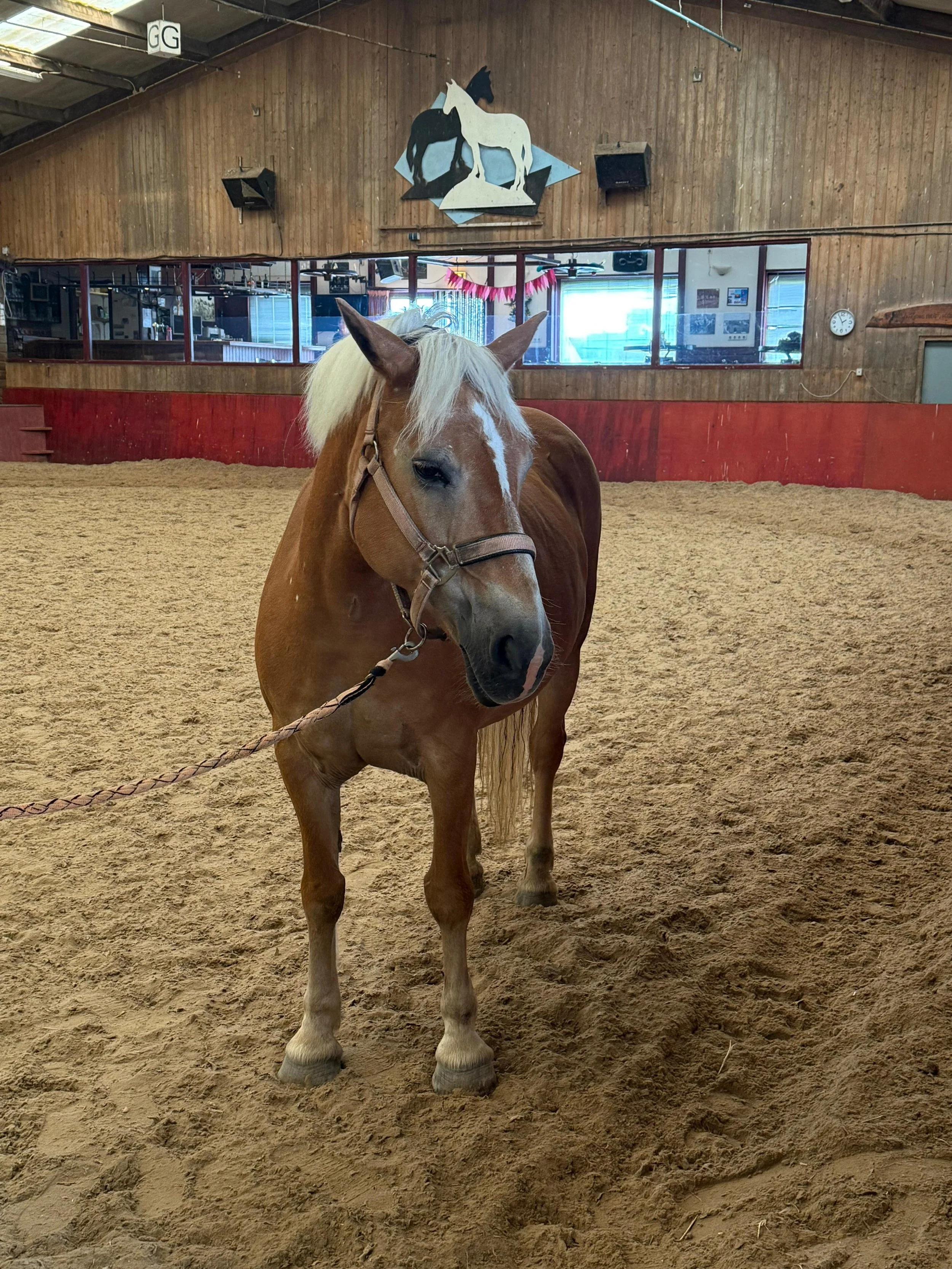 WhatsApp Image 2025-08-23 at 14.38.20.jpeg