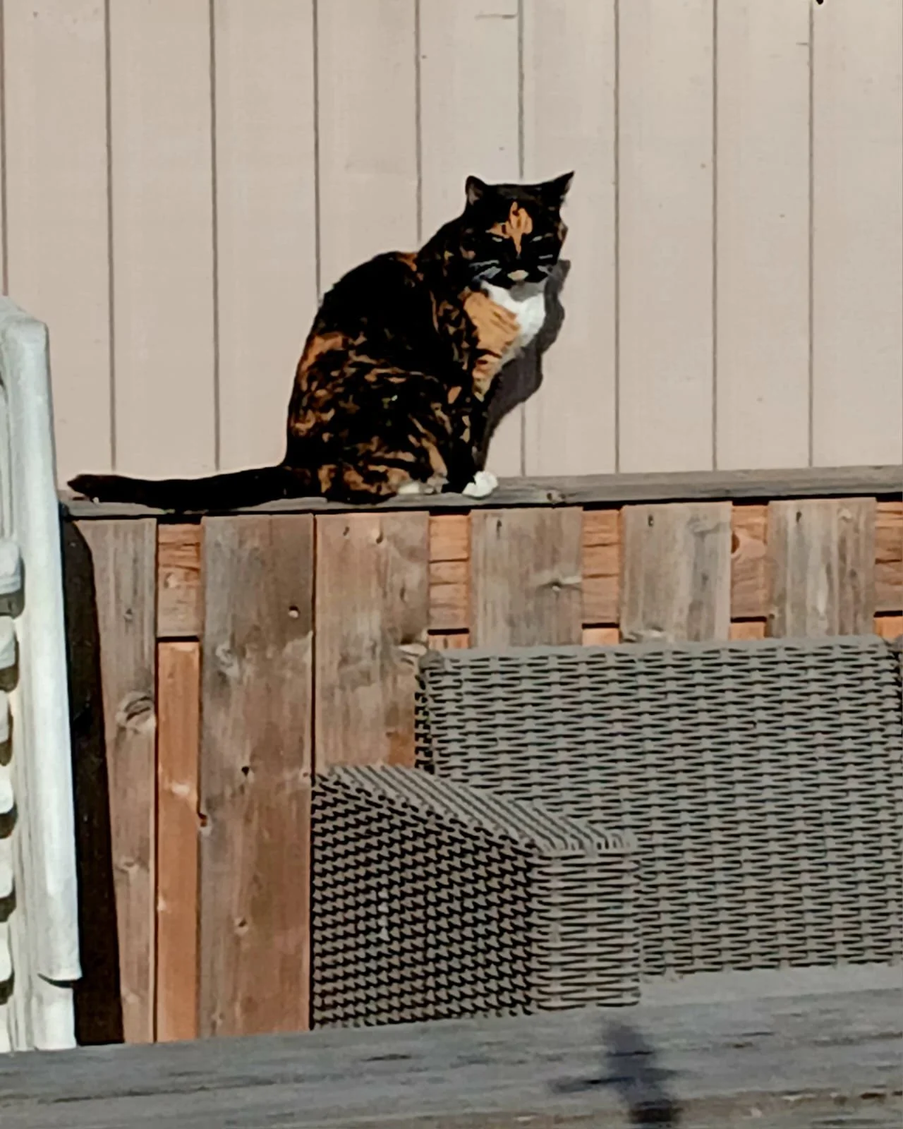 WhatsApp Image 2025-10-02 at 22.01.15.jpeg