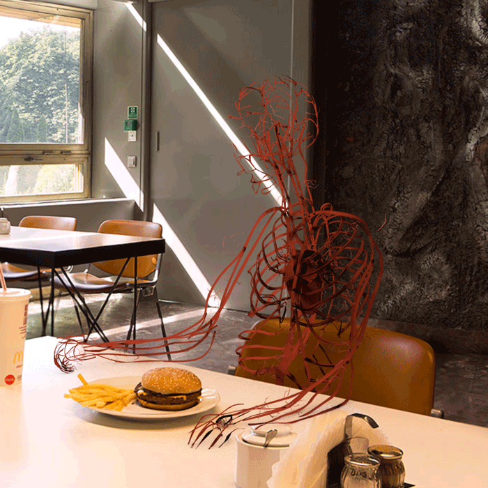 d1192d50911761.5eb6a36398ae9.gif