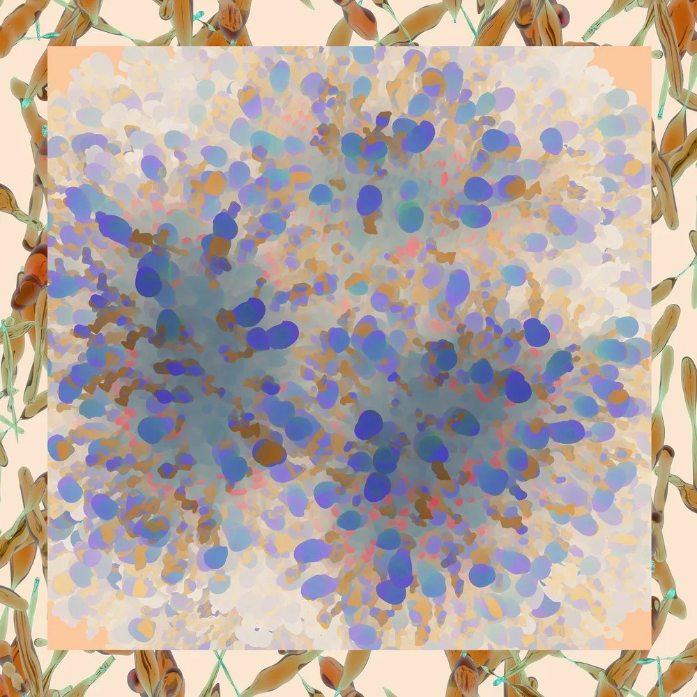 29844004227_654ae25950_h.jpg