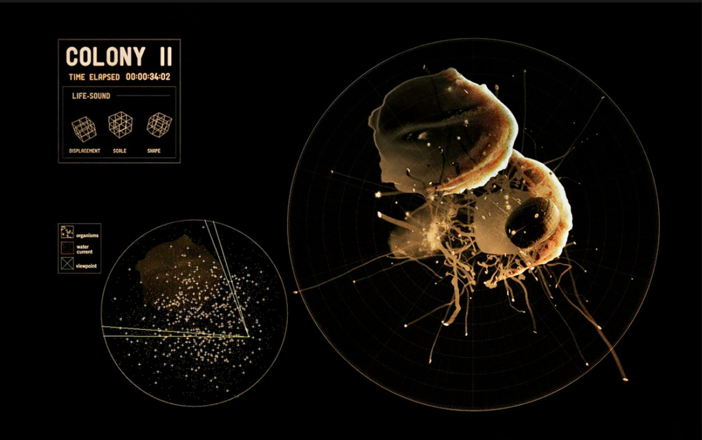 Screenshot+(432).png