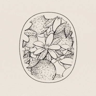 Parallel_Diptyque4.gif
