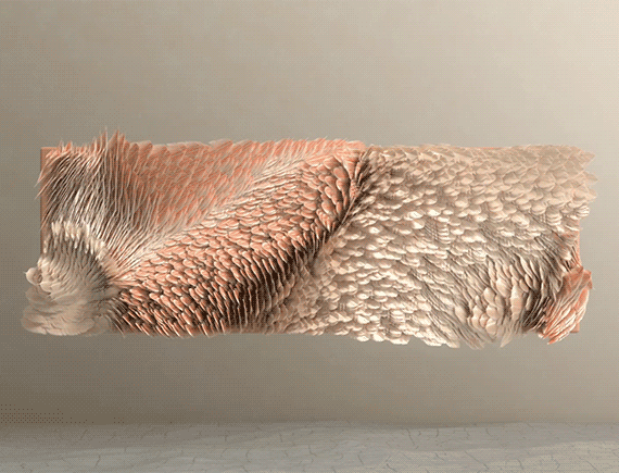 PLEID_Feathers-1-1.gif