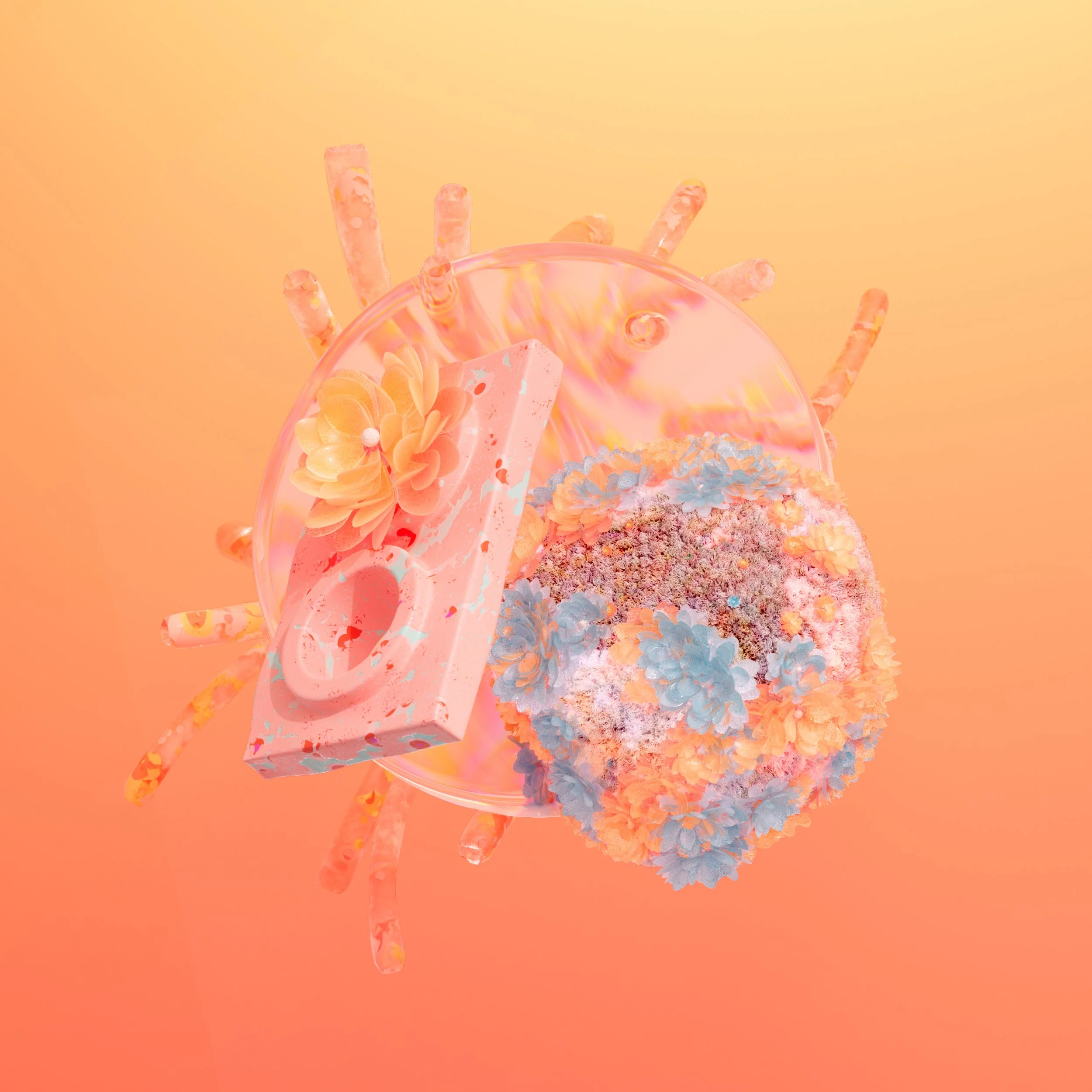 Bloom_C_15_0100.jpg