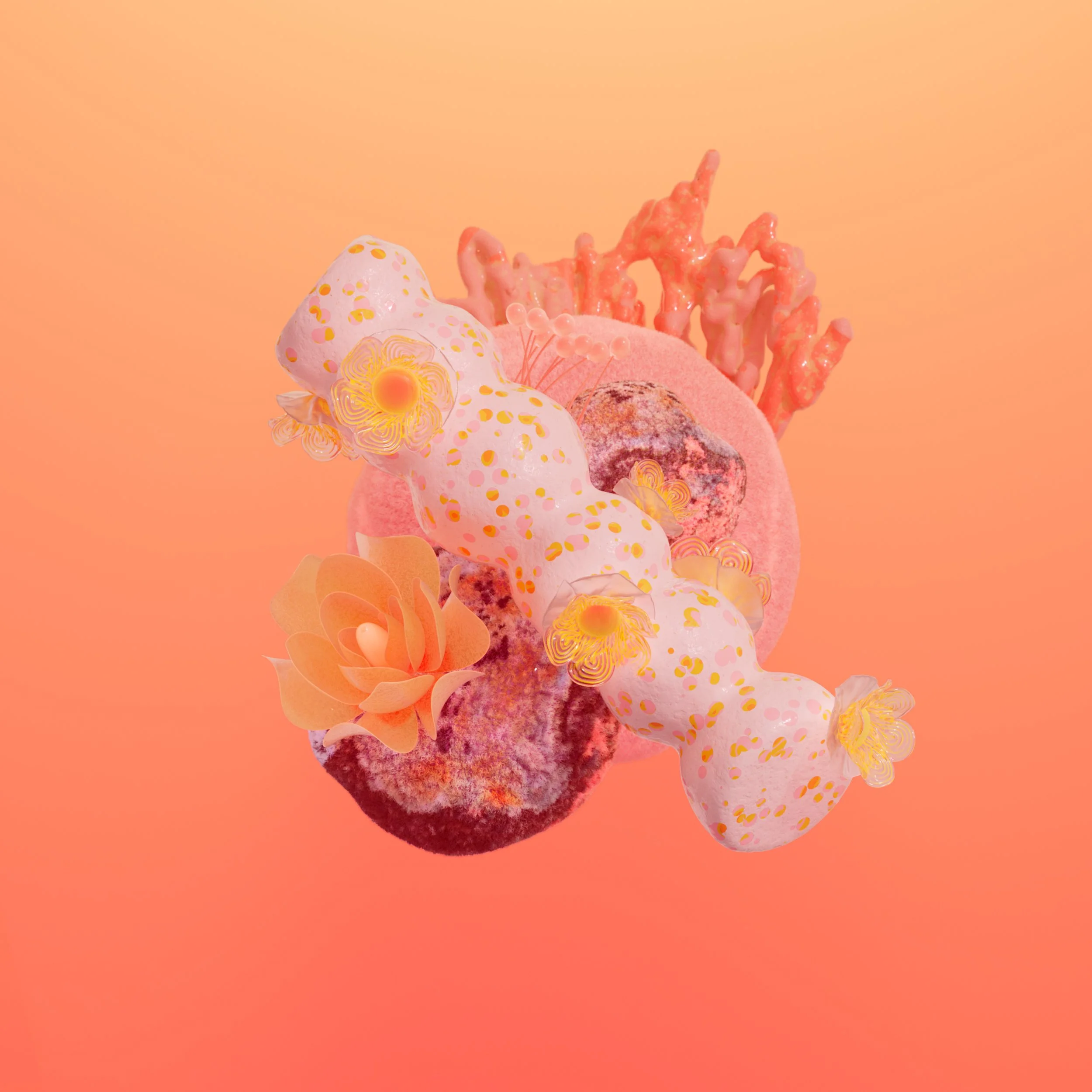 Bloom_B_14.jpg
