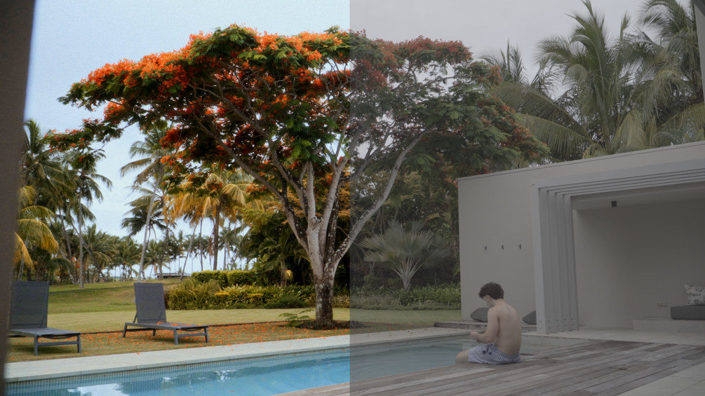 Side-by-side comparison of outdoor tropical landscape and modern poolside scene. The left shows a lush garden with palm trees and an orange-flowered tree, with lounge chairs by a swimming pool. The right shows a young man sitting by a poolside indoor area, with palm trees visible through the window.