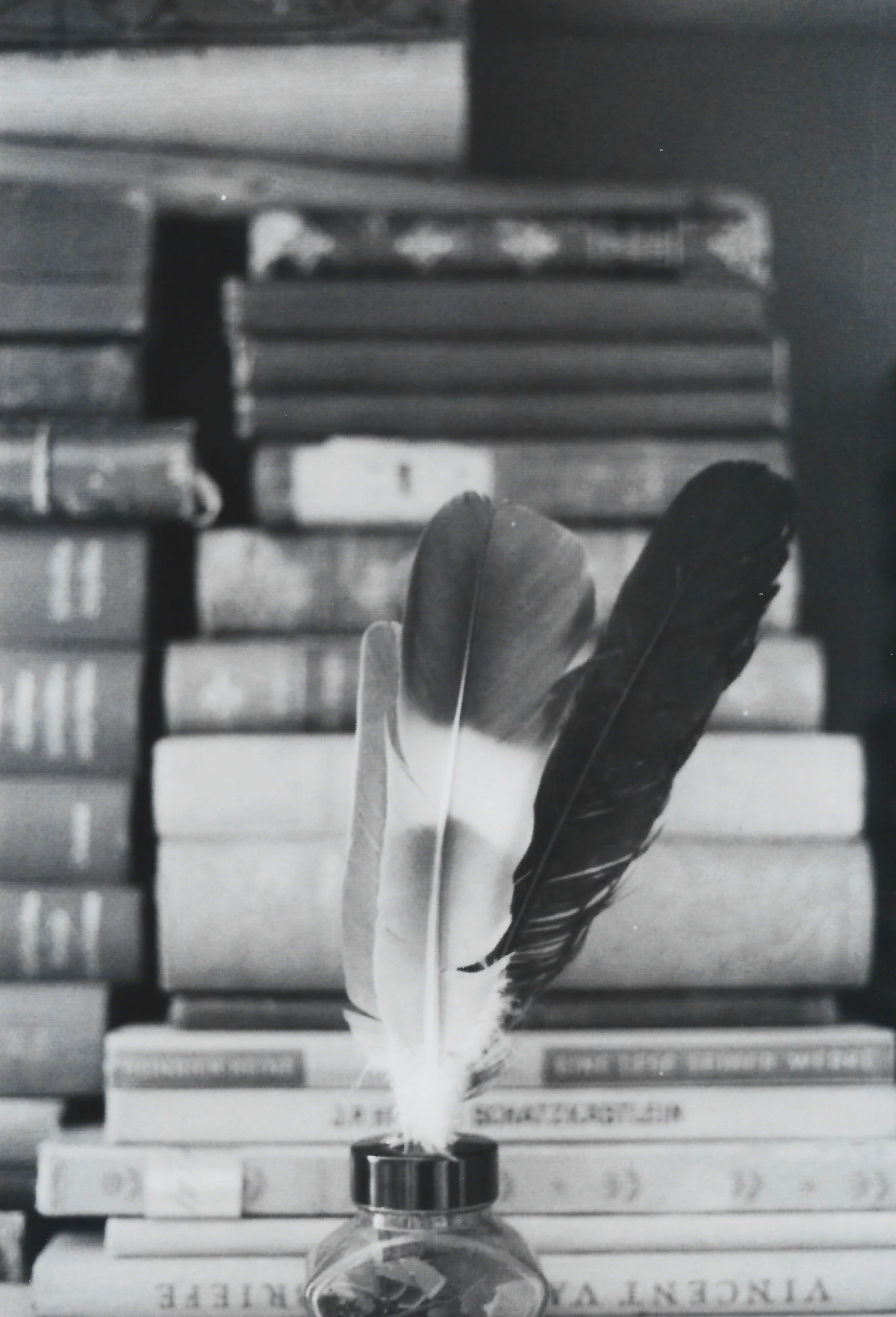 Bücher_Federn_SW_analog.jpg