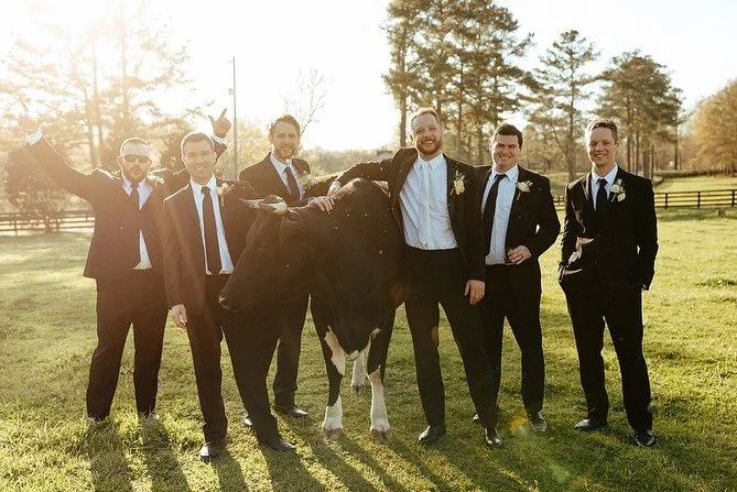 Cherry Hollow Farm is one of our favorite venues, and it just so happens we're their trusted in-house event design and management team for all weddings! If you've been searching for a venue with rustic charm, beautiful scenes, and picturesque backdro