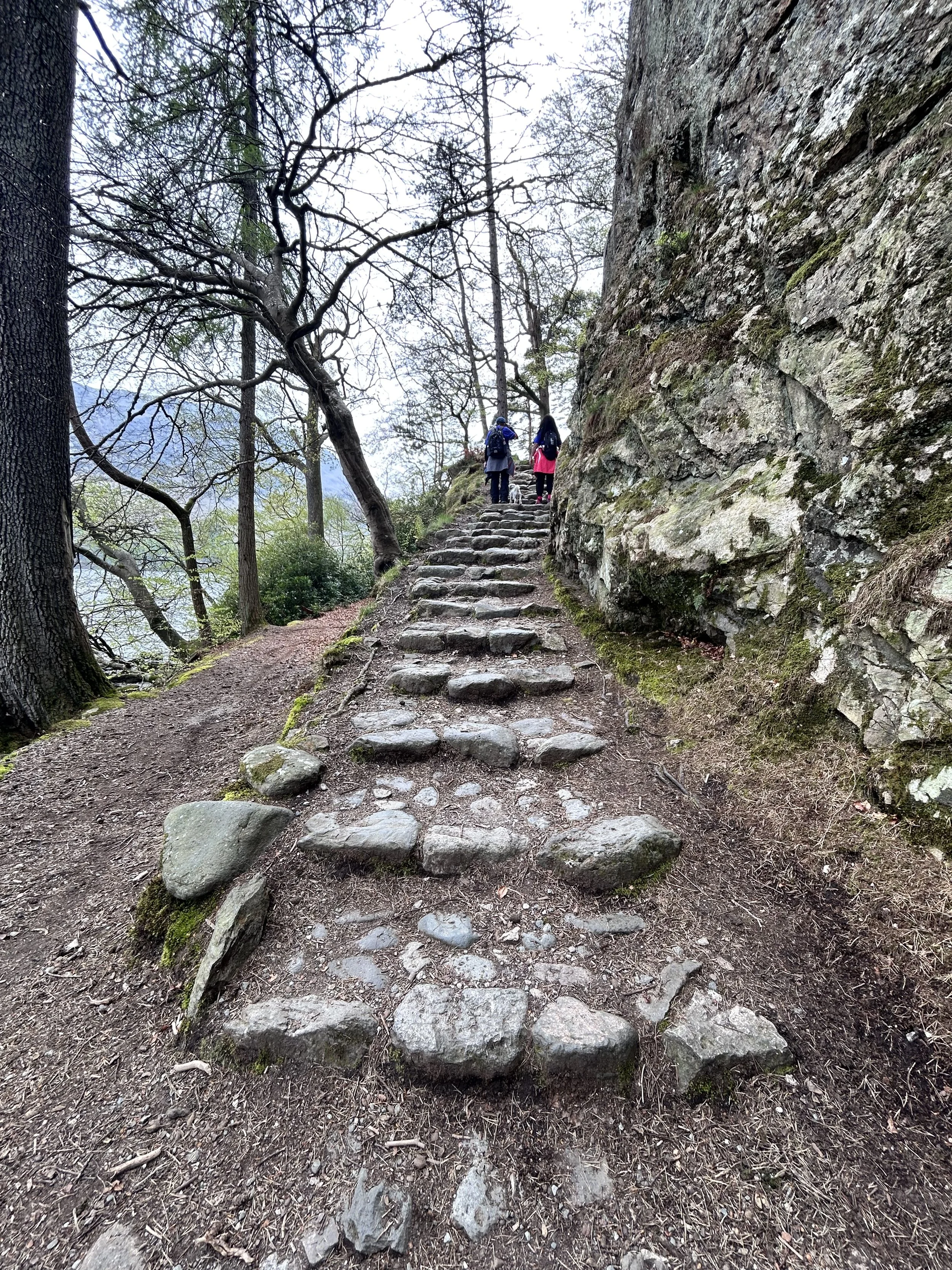 Career Coaching - First Steps to Leadership