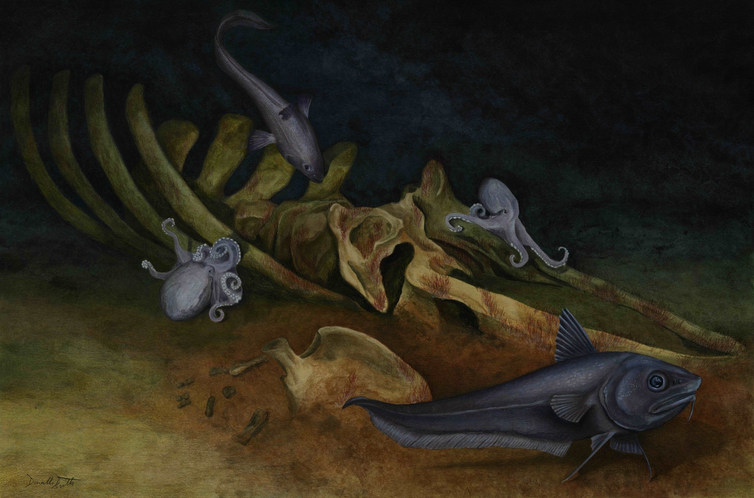 "Scavenger Deep"  Mixed Media on paper 15 x 22"
