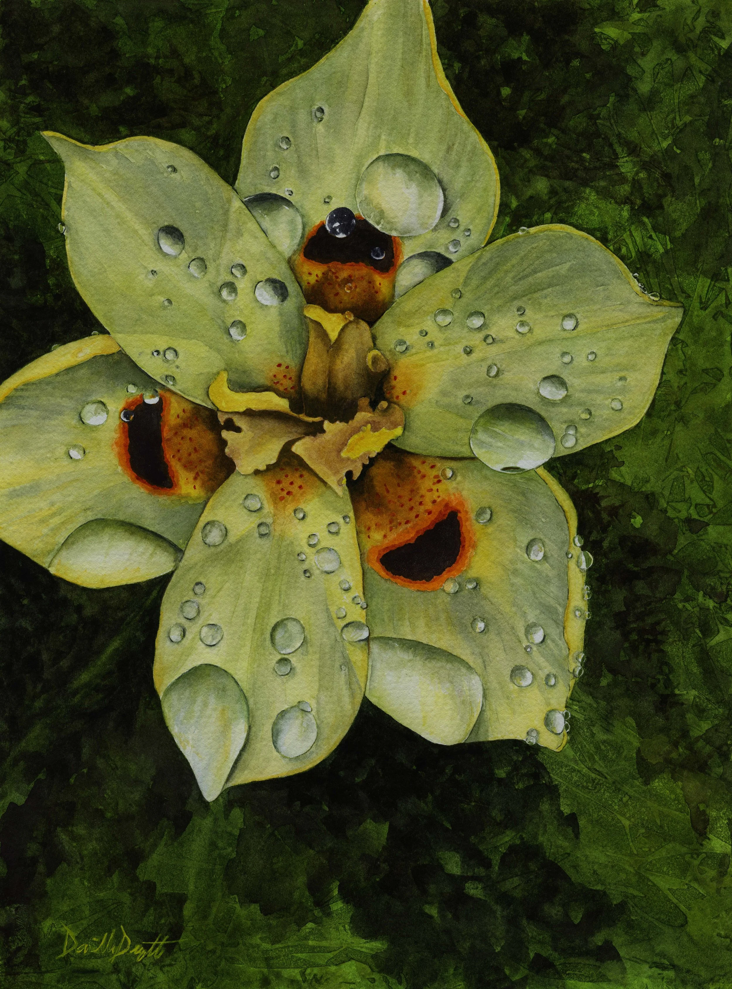 After A Warm Rain
