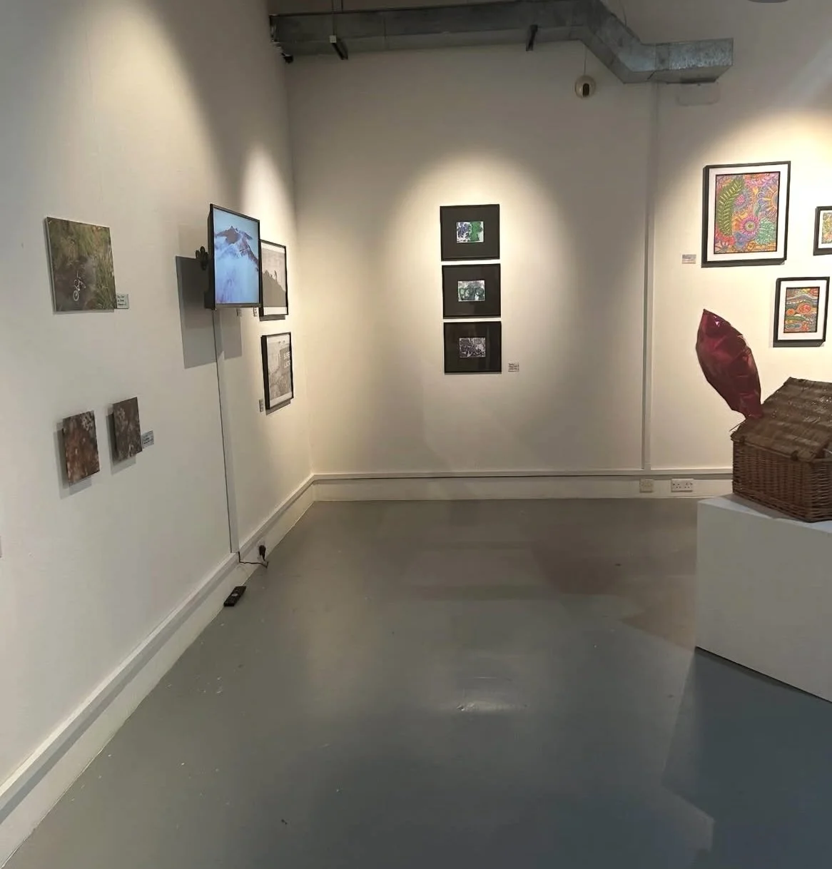 Environmental Collective Group Exhibition, Herbert Read Gallery, Photography