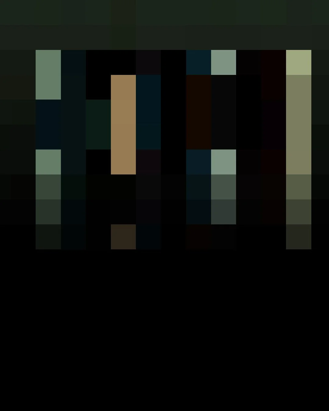 D17, Digital, Various Sizes