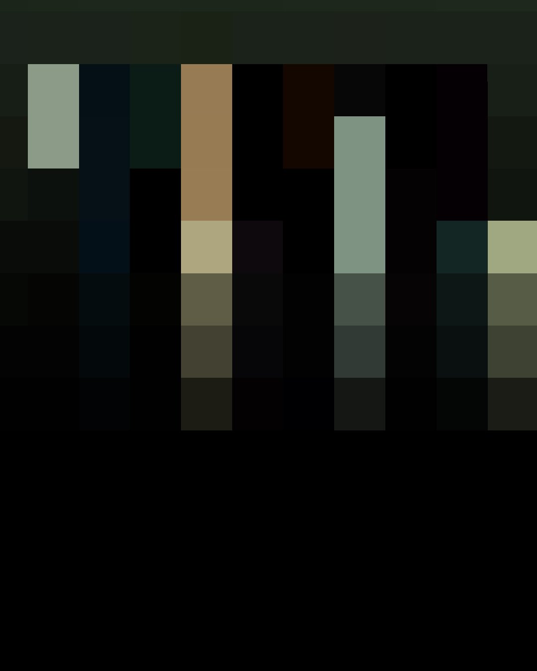 D19, Digital, Various Sizes