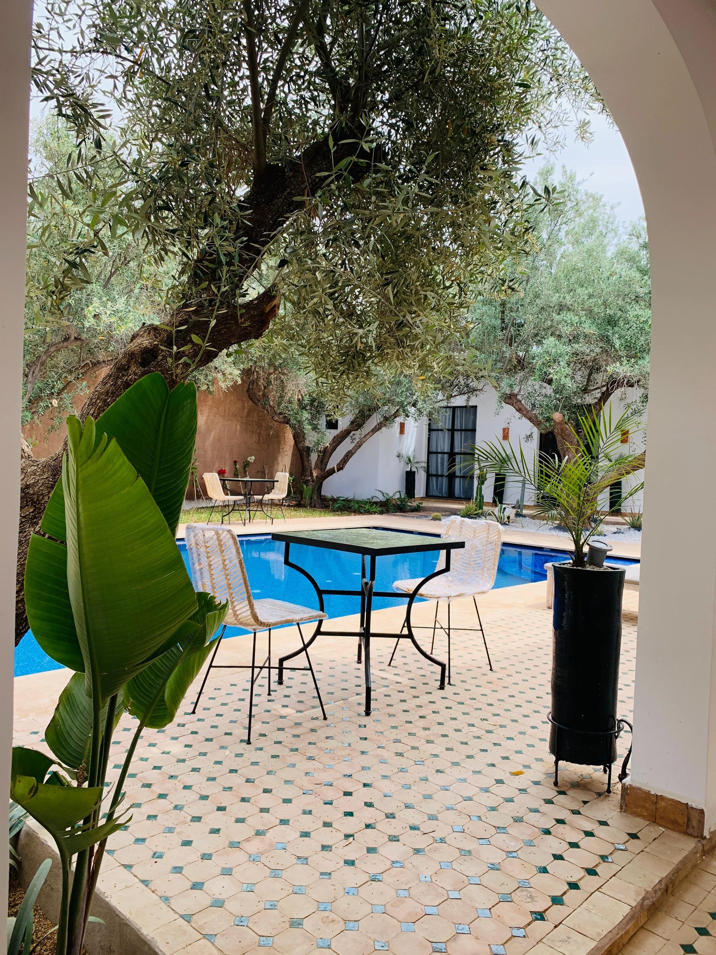 PHOTO-2025-05-09-07-19-26 copy.JPG