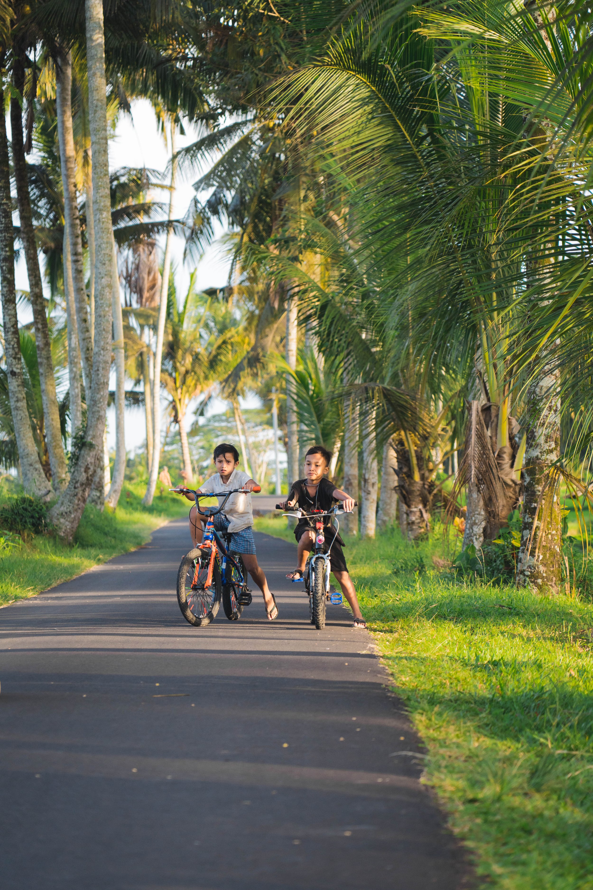 Two young boys riding bicycles on a paved trail through a lush, tropical area with tall palm trees and green grass.