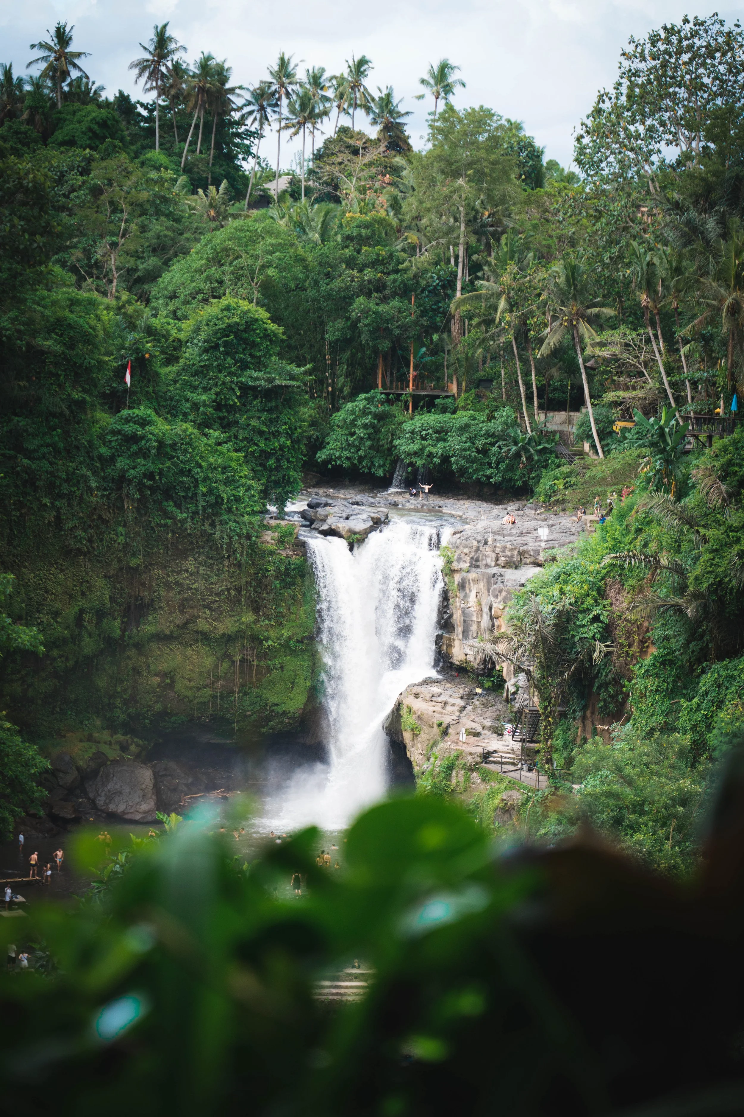 A lush tropical jungle with tall palm trees, dense green foliage, and a waterfall cascading into a rocky pool below, with people swimming and relaxing near the water.