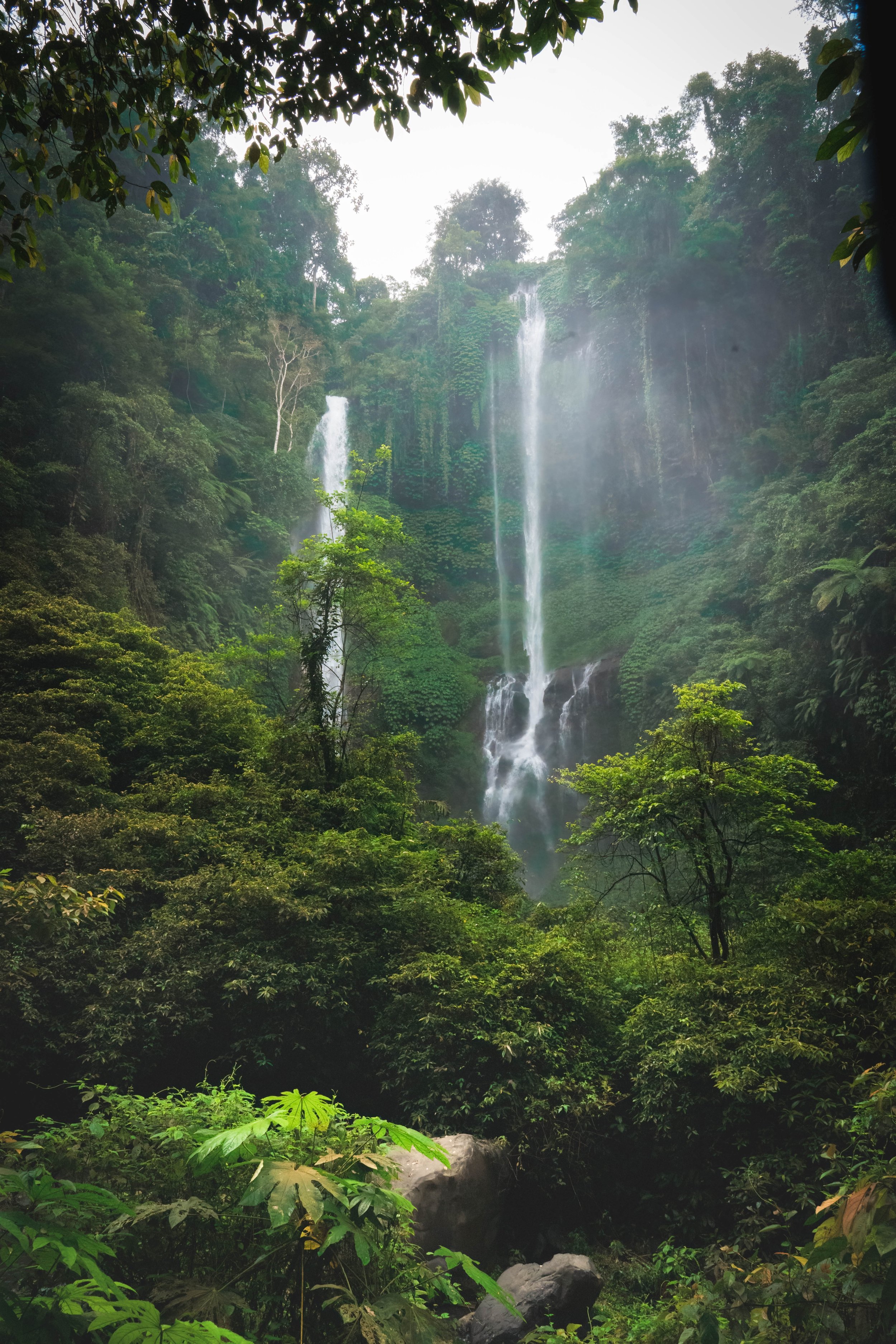 Multiple waterfalls cascading down a lush green hill surrounded by dense trees and plants.