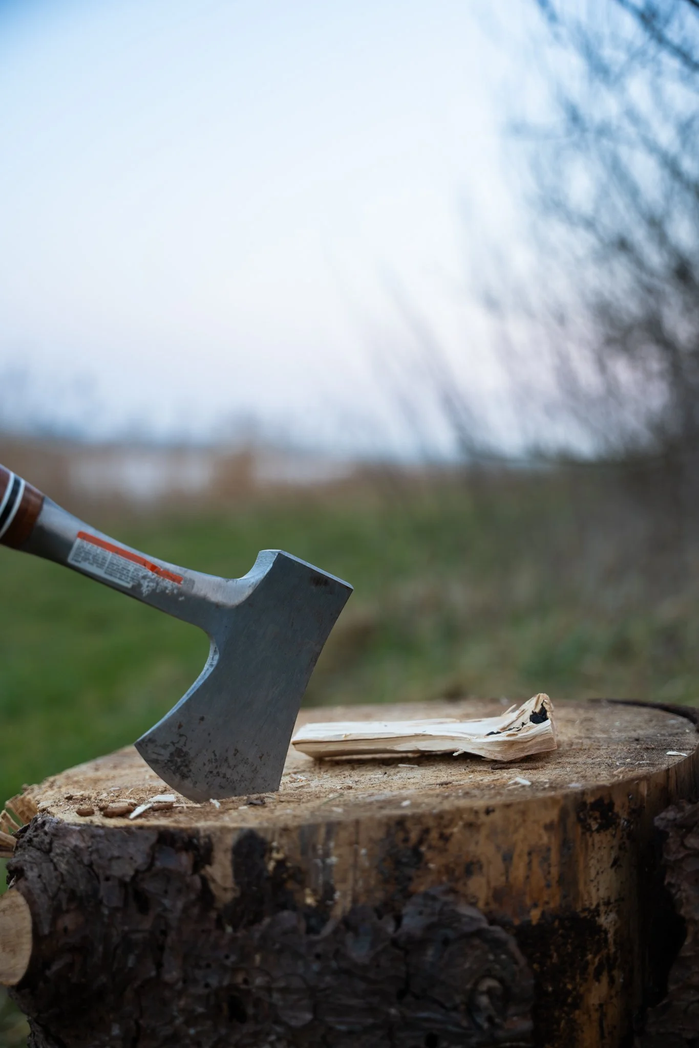 Houtkloof op een boomstam met een bijl ernaast. Cabiner Groningen