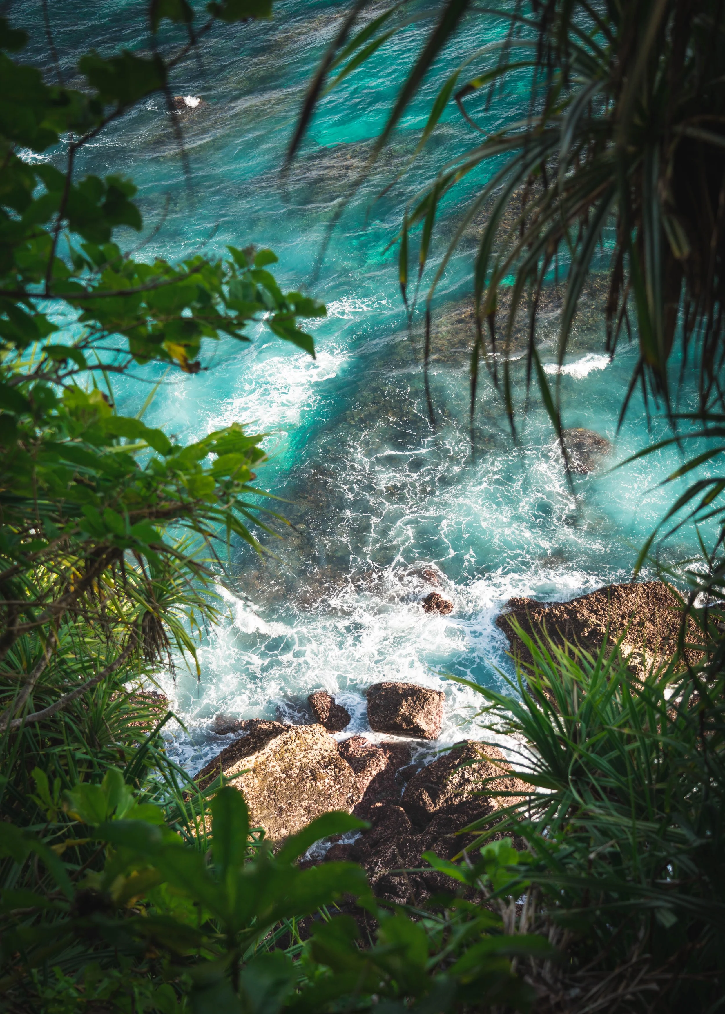 View of turquoise ocean water through lush green foliage and rocks.