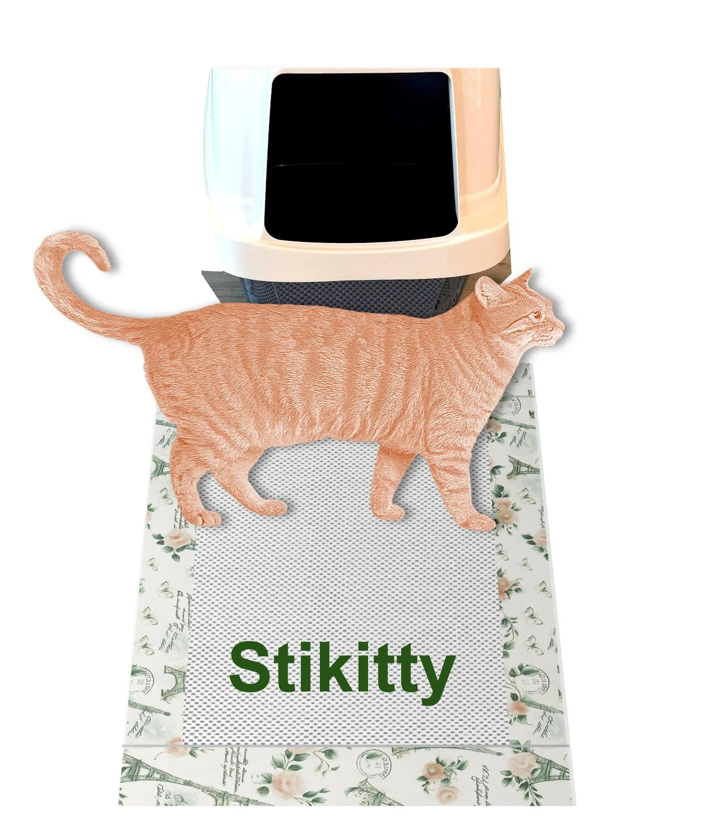 Sitkitty - Rosy - White Background.jpg