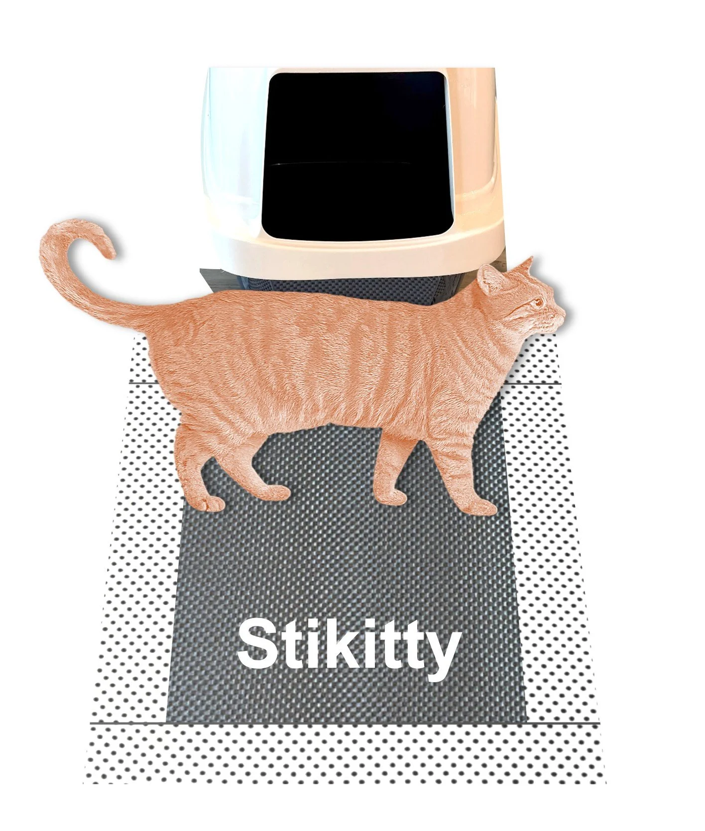 Sitkitty - Dot Dot Dash - White Background.jpg