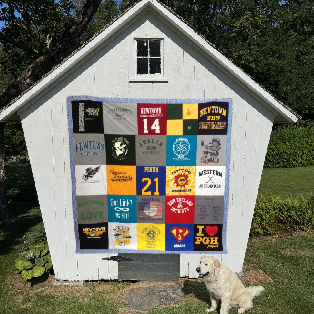 25 block shed quilt.png