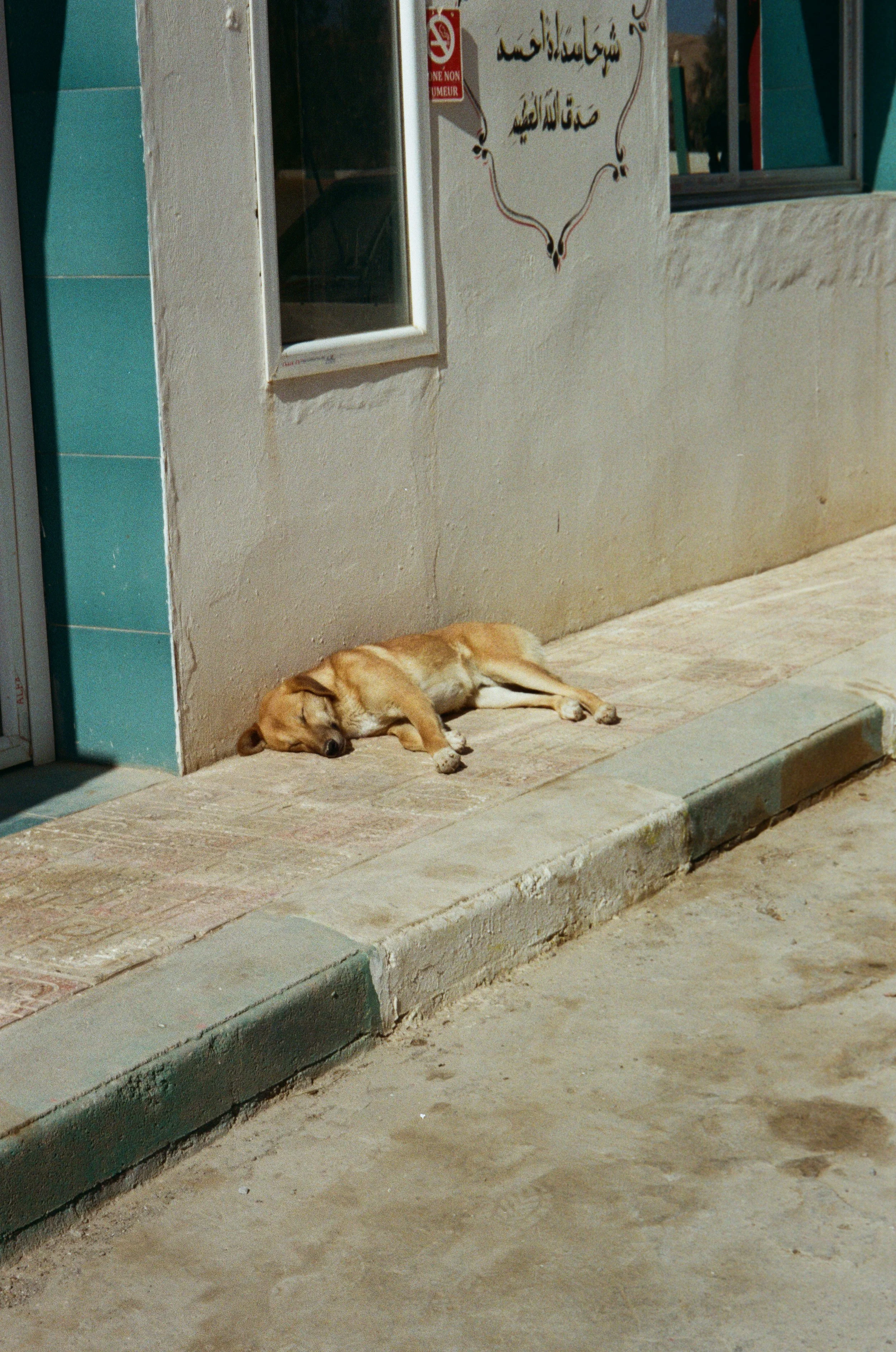 IBEY_09.jpg