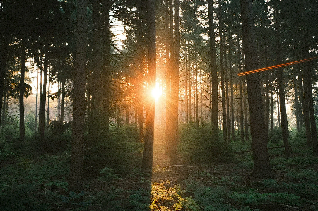 Natuurlijke verandering!