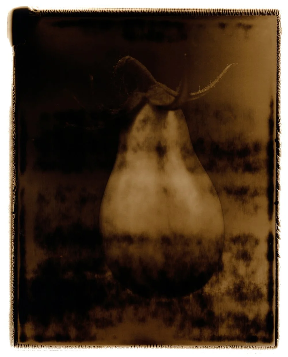 An artistic photograph of a single tomato against a dark background, utilizing a technique of solarizing type 55 Polaroid. Printed in sepia-toned silver gelatin. Created by Sam Devine Tischler © all rights reserved