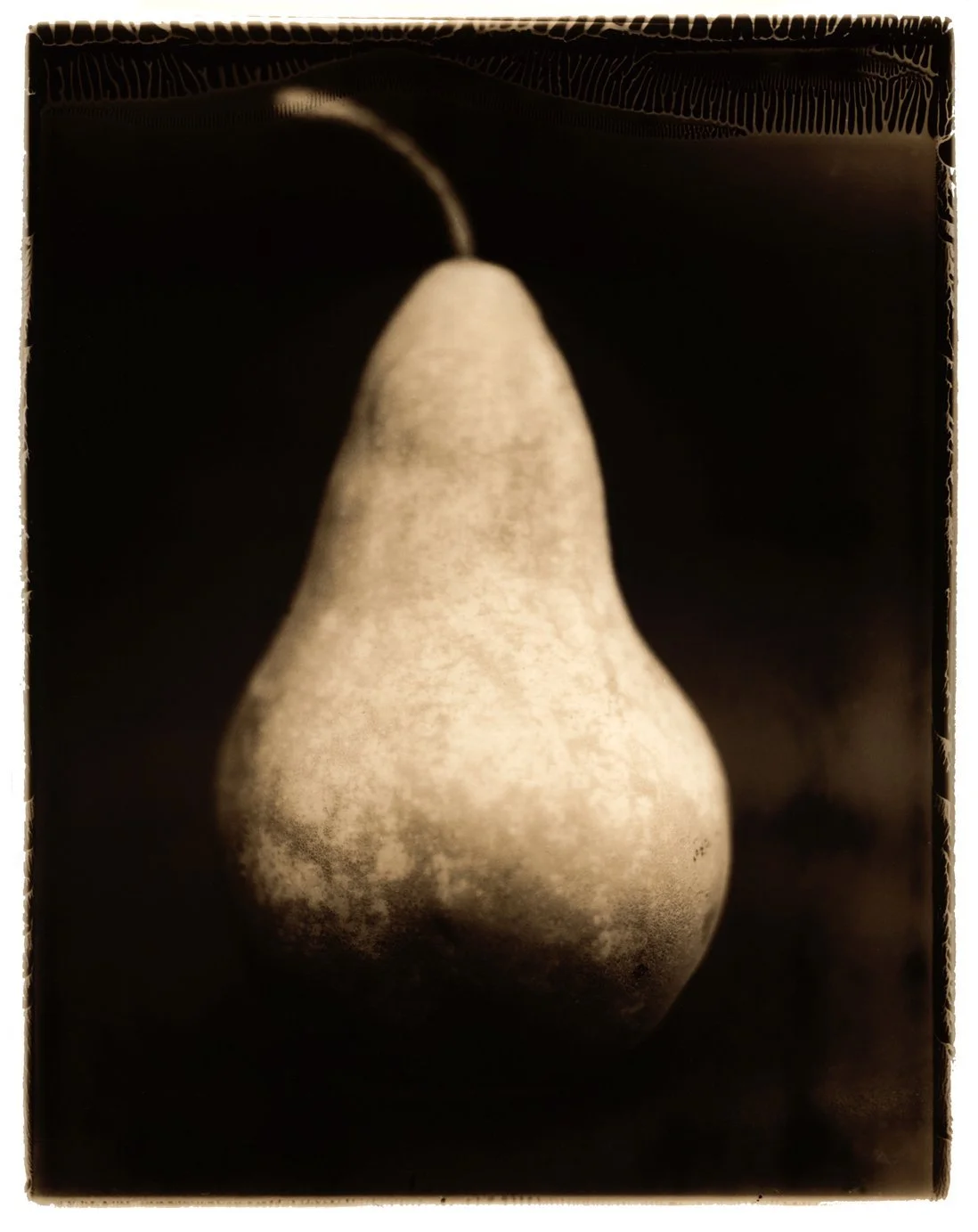 pear+%232+.jpg