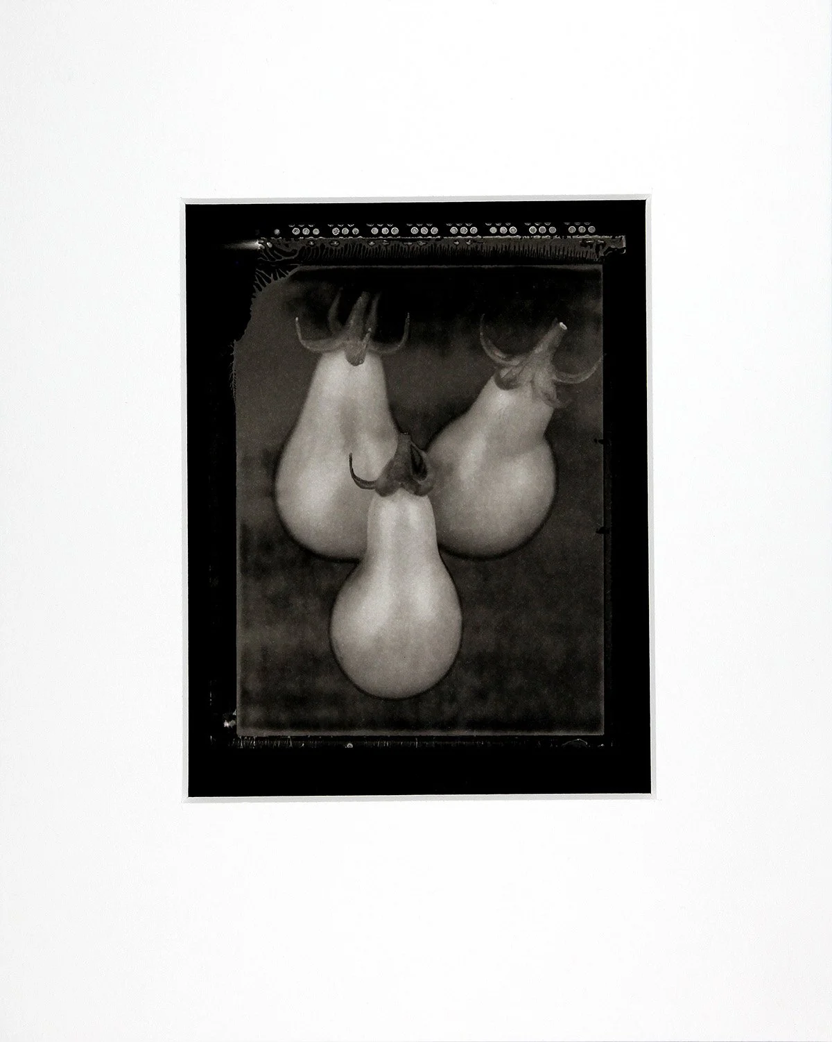 Three Tomatoes